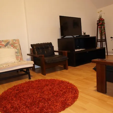 Attic City Center Apartment *